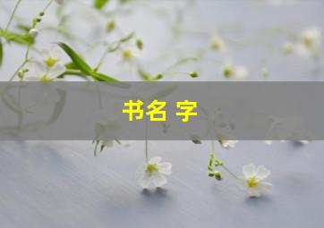 书名 字